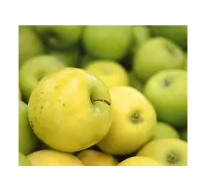 Яблука на експорт